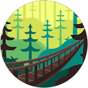 dominic somary profile picture